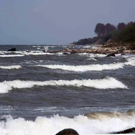 Strandrose Rerik